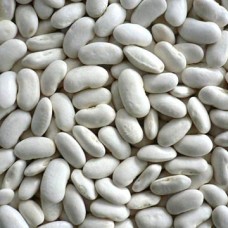 MEDIUM SIZE WHITE KIDNEY BEANS